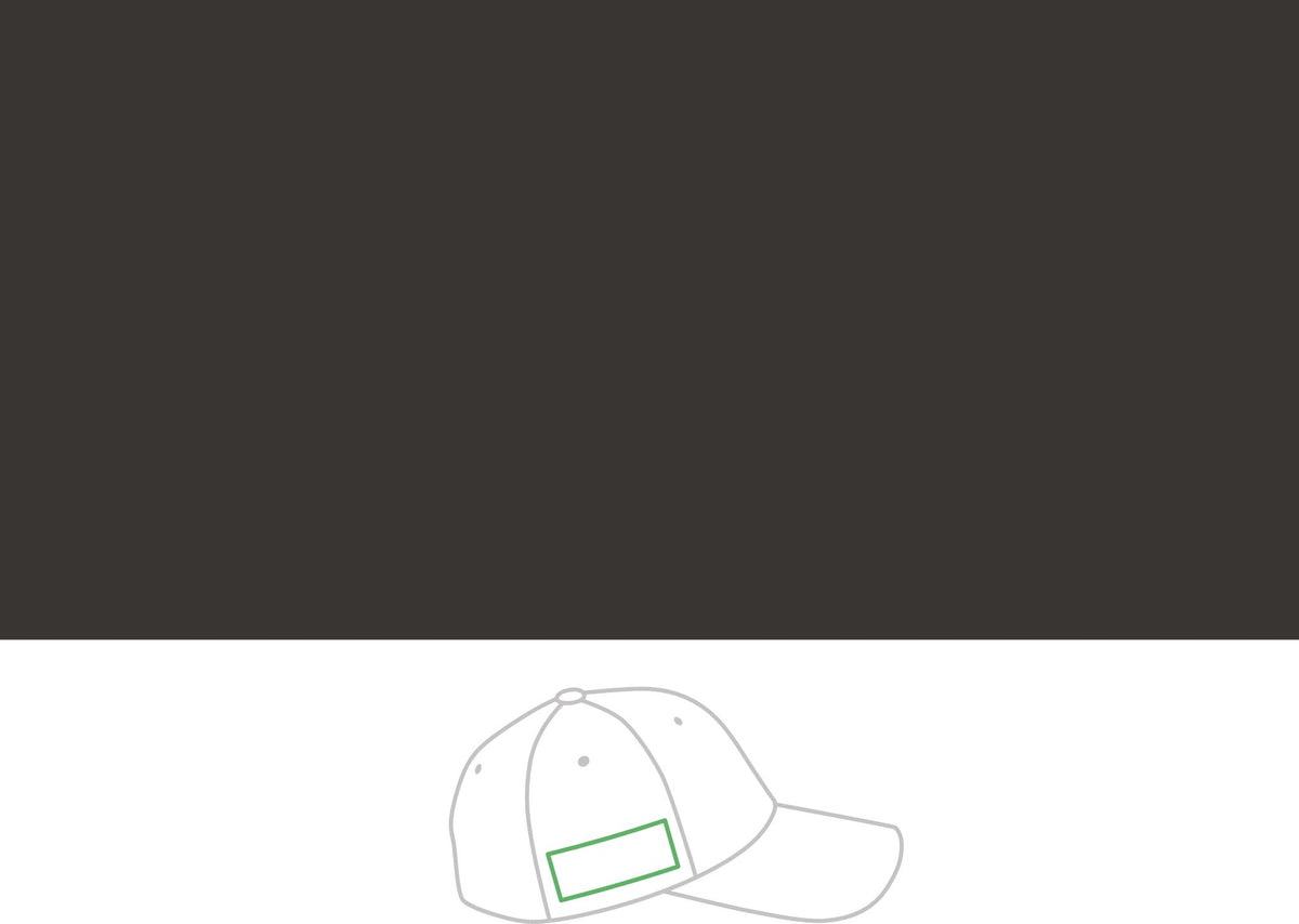 New Day Performance Cap — "It's a New Day" Motivational Snapback