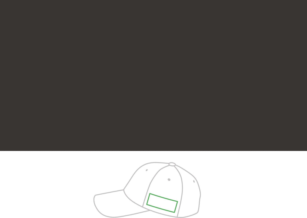 New Day Performance Cap — "It's a New Day" Motivational Snapback